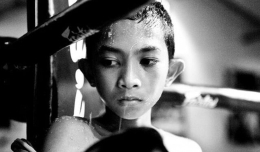 泰国儿童成出拳机器为钱走上血腥道路