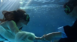“牛郎织女”水下相会 演绎海底浪漫