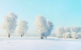 壮丽无比的雪