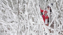贵阳云雾山雪景醉游人