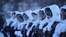 北极哨兵：挺立在风雪中的“北极杨”