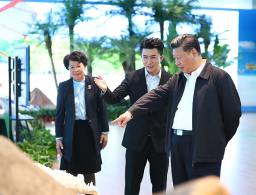 习近平在海南考察