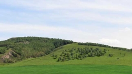 阿尔山夏日美景