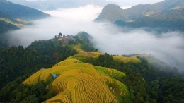 贵州梵净山列入世界遗产