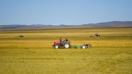 内蒙古：草原打草忙