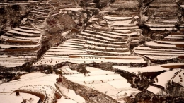 甘肃黄土塬雪后梯田