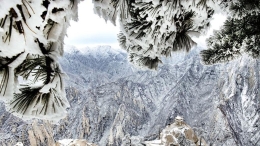 华山雪后更娇艳