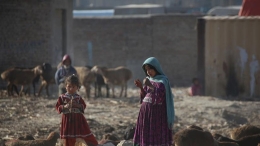 阿富汗370万儿童失学