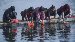 湖州：守护绿水青山