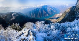 雪落三峡 “梨花”盛放