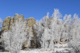 雪霁石林