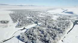 新疆昭苏：冰雪胜境