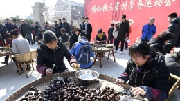 别开生面的荸荠运动会