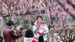 赏花过大年