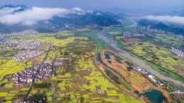 乡村振兴好风景