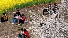 春日寻芳 多彩山乡