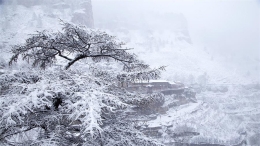 雪落山西芦芽山悬空村