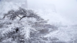 雪落山西芦芽山悬空村