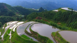 雨后苗山插秧忙