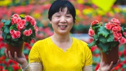 “鲜花经济”富乡村