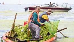 海岸环卫 保洁海滨