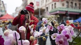 旧金山春节花市