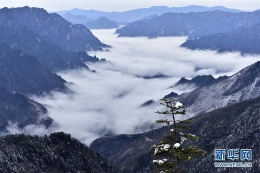 中国湖北神农架申遗成功