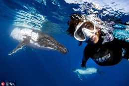 美女汤加海域与座头鲸玩自拍胆量惊人