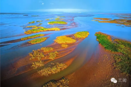 空中看黄河：入海口，生长的陆地