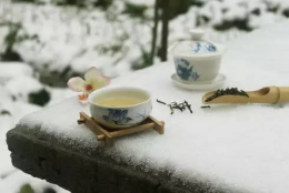 煮雪问茶味，当风看雁行