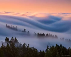 这里的风景，是雾不是霾