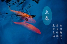 二十四节气之立春
