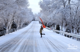 陕西阳春三月“千里冰封，万里雪飘”