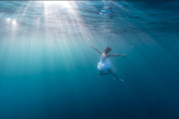 摄影师记录海底深处绽放的曼妙舞姿