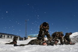 超震撼！看兵哥带警犬在-17℃的长白山天池大练兵……