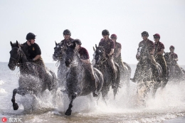 英皇家骑兵队御马飞驰乘风破浪