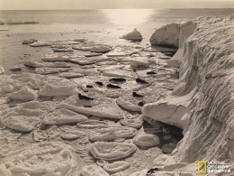 旧照记录100年前的南极大陆