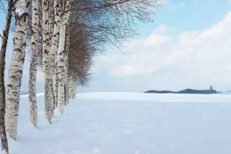 夏日清凉一下 来感受雪国之美