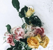 氤氲水汽中娇艳的花朵