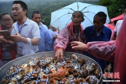 重庆蟹农蒸千只大闸蟹宴请民众