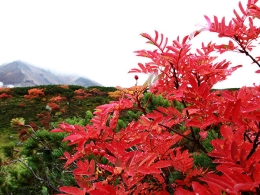 北海道之秋