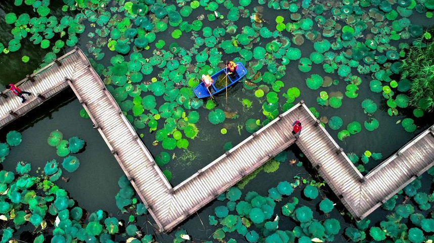 浙江长兴：清洁水面 扮靓乡村