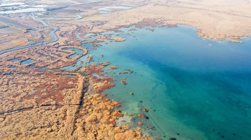 新疆玛纳斯：秋日湿地画卷