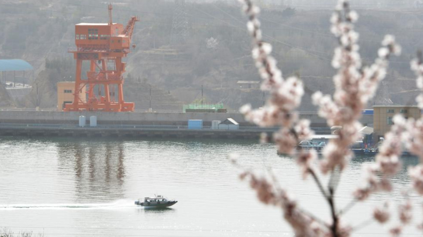 刘家峡花开春意浓