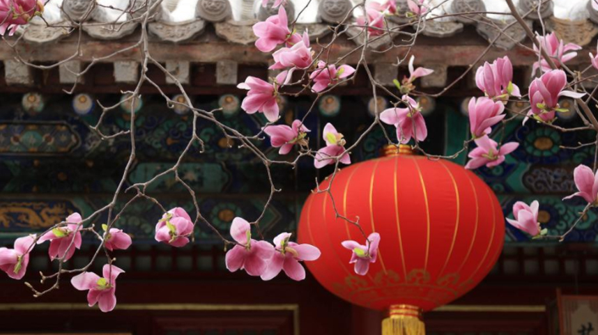 古刹花开