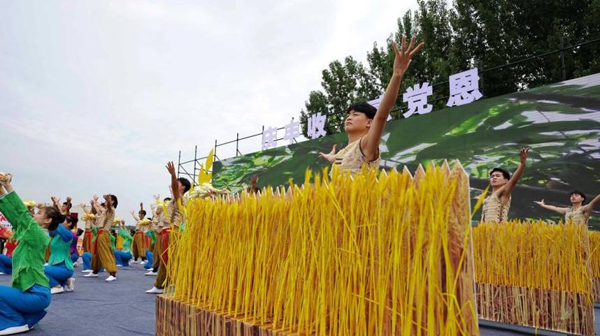 河北举办中国农民丰收节庆祝活动
