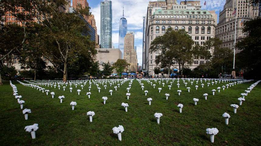 美国纽约：白色瓶花悼念枪支暴力遇难者