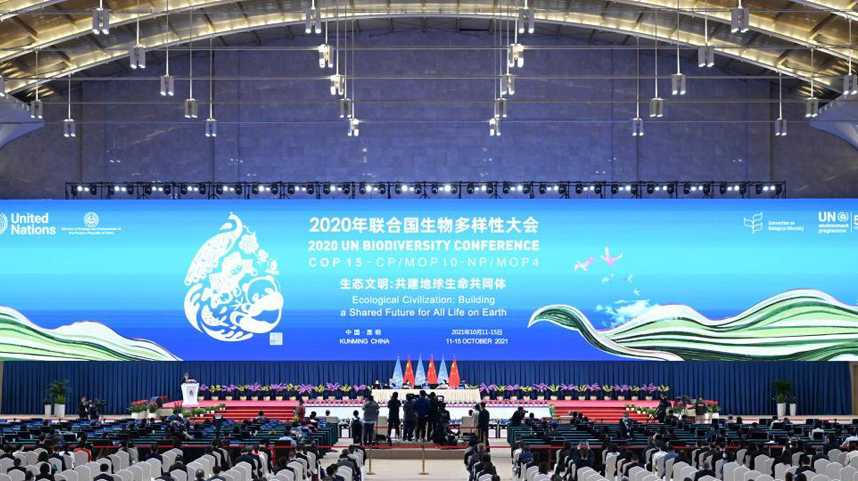 2020年联合国生物多样性大会（第一阶段）闭幕