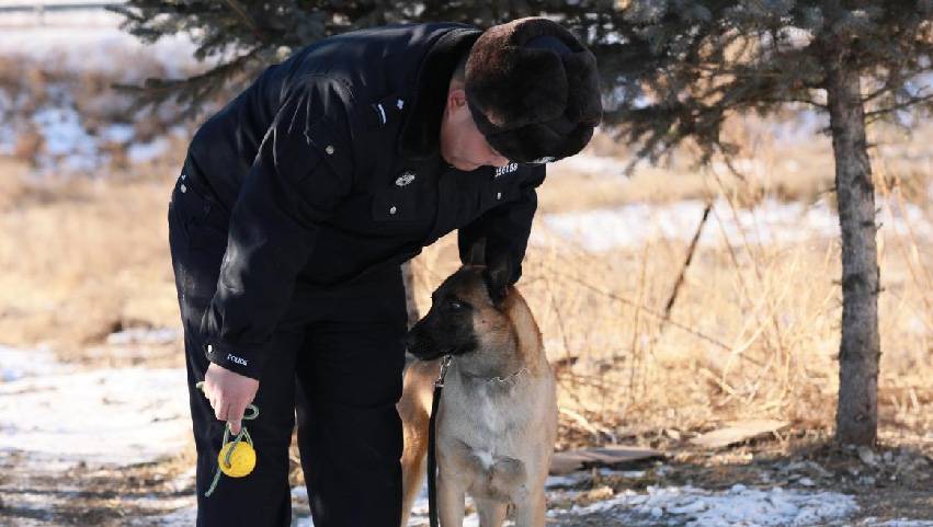 边境民警和特殊“战友们”的节日