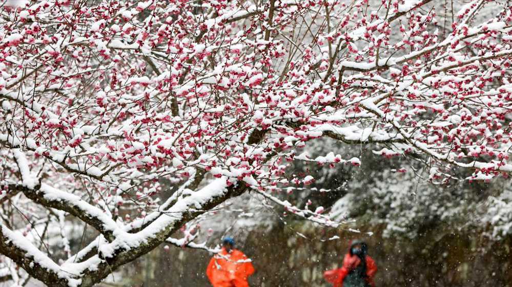 我国南方地区迎来大范围雨雪天气